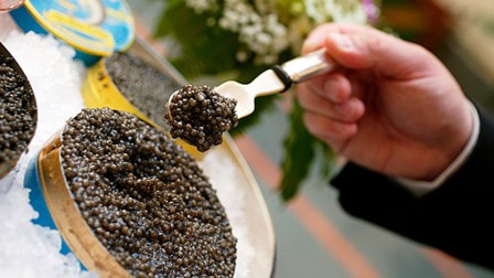 تصویر 4 از خرید خاویار ایرانی 25 گرمی + قیمت فروش استثنایی